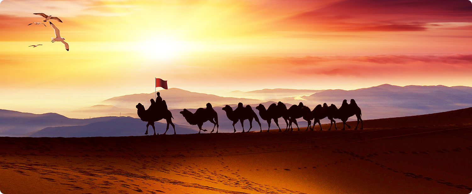 抖音小程序開(kāi)發(fā)